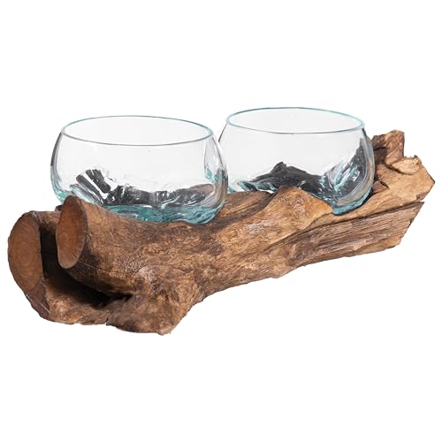 Cape Craftsmen Set of 2 Terrariums | Hand-Blown Blue Tinted Bubble Glass On Natural Teak Driftwood Terrarium | Home Décor Indoor Planter with Stand | Pot for Succulent and Plants - size: Set of 2 (With Stand)