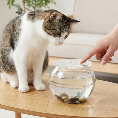 Round Clear Tank Lid - Round Acrylic Aquarium Lid - 5.12" Tank Protective Cover - Replacement Accessories for Fish Bowl Terrarium - size: 13.00X13.00X0.30CM