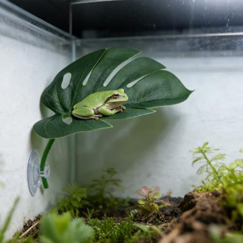 3 Pack Frog Basking Platforms - Realistic Leaf Perch with Suction Cups, Terrarium Decor & Habitat Accessories for Tree Frogs, African Dwarf Frogs & Toads