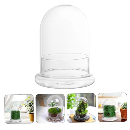 POPETPOP Glass Ecosystem Bottle Air Plant Holder DIY Bell Jar Terrarium Kit Decorative Plant Pot Drainage