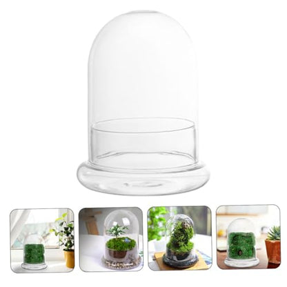 POPETPOP Glass Ecosystem Bottle Air Plant Holder DIY Bell Jar Terrarium Kit Decorative Plant Pot Drainage