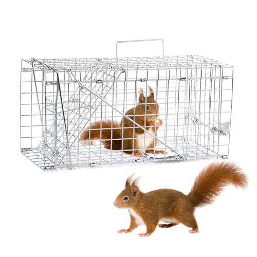 17" Humane Folding Squirrel Trap,Easy Catch and Release | Humane Live Animal Trap for Squirrels