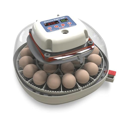 Harris Farms Nurture Right Egg Incubator with Auto Turner, Holds 22 Eggs