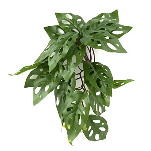 Fake Monstera Adansonii, Reptile Terrarium Suction Plants | For Gecko Snake Lizard Rainforest Habitat - color: Fake Swiss Cheese Plants Monstera Adansonii