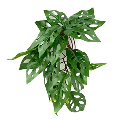Fake Monstera Adansonii, Reptile Terrarium Suction Plants | For Gecko Snake Lizard Rainforest Habitat - color: Fake Swiss Cheese Plants Monstera Adansonii
