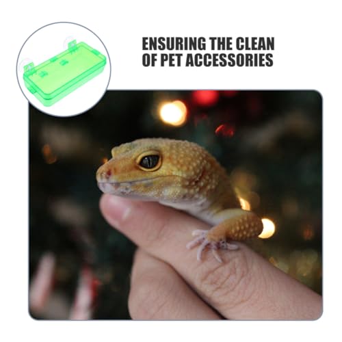 Reptile Feeding Trough and Water Dish with Anti-Escape Design, Large Green Non-Escape Food Bowl for Bearded Dragons, Geckos, Snakes, Suitable for Terrariums and Reptile Tanks