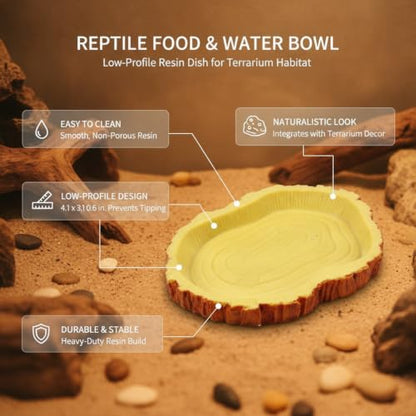 Reptile Food and Water Bowl, Low-Profile Resin Dish for Terrarium Habitat, Stable Feeding Station for Small Lizards and Geckos (1 PC)