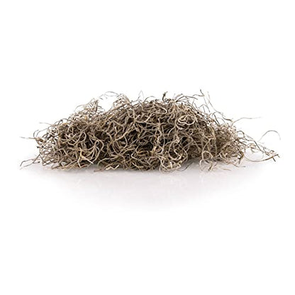Premium Natural Spanish Moss Natural Preserved - Great Ground Cover - Filler for Potted Plants - 1 Quart Bag, GRD-SPANISH-MOSS-1QT - color: SPANISH MOSS, size: 1 Quart