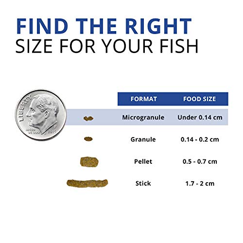 Fluval Bug Bites Betta Fish Food, Granules for Small to Medium Sized Fish, 1.05 Oz. | Granules for Small to Medium Sized Fish