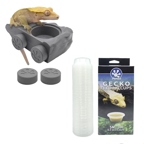 Pangea Gray Silicone Gecko Feeding Ledge & 100 .5oz Small Plastic Food & Water Cups Bundle