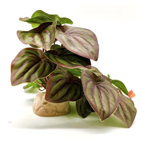 Reptile Plants for Terrarium,Habitat Decor,Artificial Plants | Fake Reptile Plant with Base for bearded dragon Gecko Lizard Snake,Tank Enclosure Accessories-red Watermelon - color: Red Watermelon Peperomia