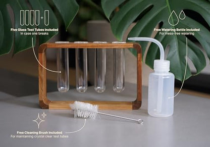 Source & Plot Plant Propagation Station - Acacia Wood Stand with 4 Glass Test Tubes, Tabletop Hydroponic Terrarium Planter Rack for Rooting & Houseplant Decor, Gift for Plant Lovers