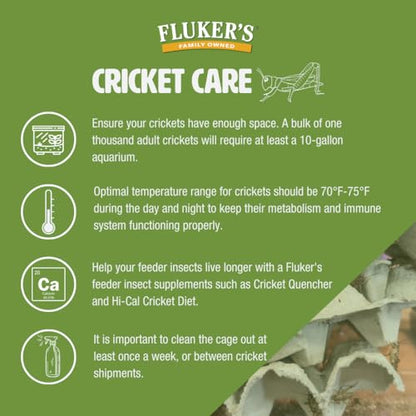Fluker's Live Crickets for Reptiles, Chickens, Birds and Fishing, 100 Count Feeder Insects Gut Loaded with Orange Cube, High Calcium, and Vitamins, Shipped Fresh in a Ventilated Box (1/2 Inch) - size: 100 Count (Pack of 1), style: Medium, 1/2"
