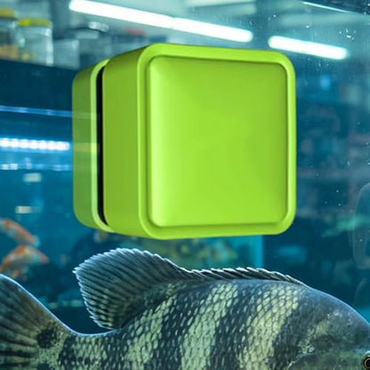 Aquarium Magnet Glass Cleaner Small Brush Scrubber Remover | Fish Tank Cleaning Tools for Home Kitchen Living Room Saltwater Algae Turtle Reptile Terrarium Water Wall Betta Fish Tank - color: Green