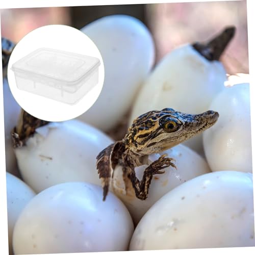 2Pcs Compartment Egg Incubator Tray for Reptile Hatching Reusable Transparent Hatchery Box for Tortoise Lizard and Management and Storage