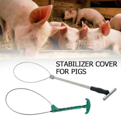 Pig Catcher Pole,Dog Catcher Pole,Animal Control Pole,Stainless Steel Pig Contro Holder,Dog Catch Rod Noose Holder Tool,for Dog Pig Swine Animals Livestock - color: Green Sliver