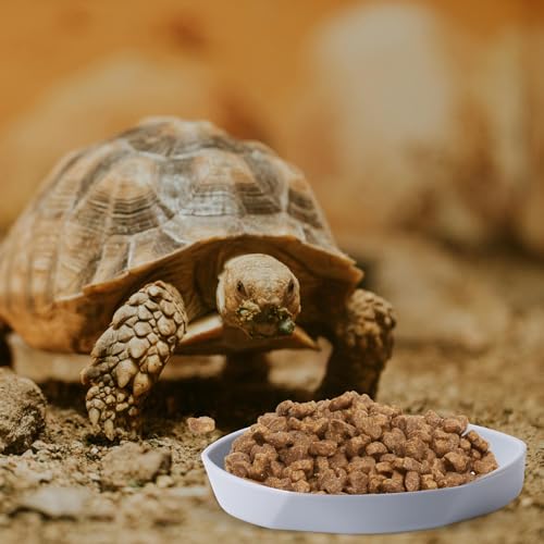 4 Pack Small Reptile Food Dish Bowl, Plastic Worm Water Dish Plate | Reptile Food Bowls for Lizard Gecko Bearded Dragon Chameleon 4" W x 4" D x 0.5" H, White and Grey - color: White and Grey