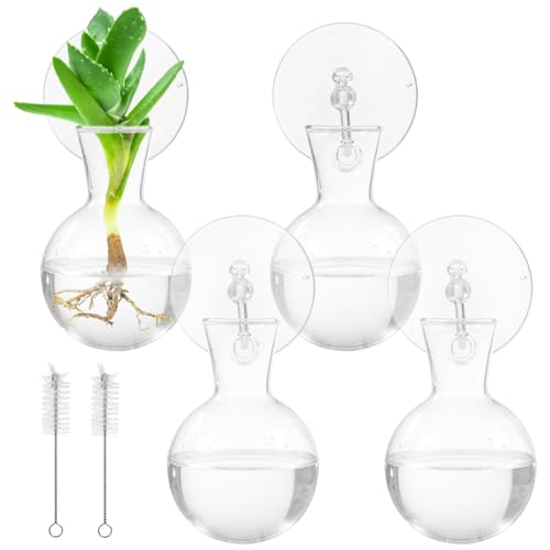4 Pack Glass Propagation Vases for Plants, Hanging Window Planters with 4 Suction Cups and 2 Brushes, Glass Plant Terrarium Vase, for Water Cultivating, Home Decor, Housewarming Present