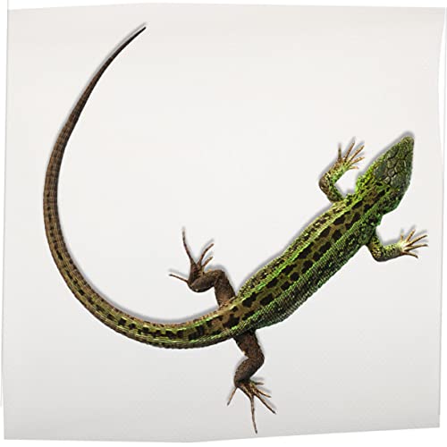 Reptile Carpet Mat for Leopard Gecko Bearded Dragon Lizard Snake Turtle Waterproof Non-Toxic Soft Bedding for Terrarium Accessories - color: White