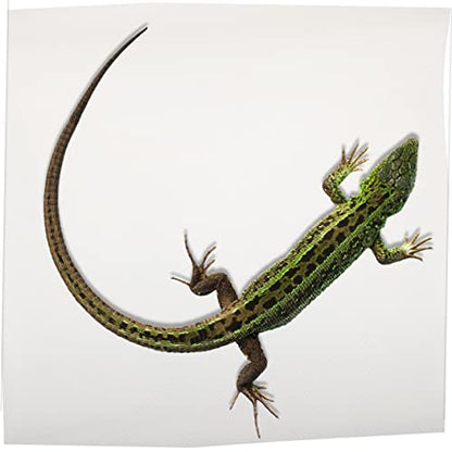 Reptile Carpet Mat for Leopard Gecko Bearded Dragon Lizard Snake Turtle Waterproof Non-Toxic Soft Bedding for Terrarium Accessories - color: White