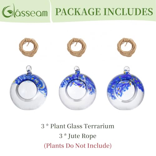 Glasseam Hanging Glass Plant Terrarium: 3Pcs Hanging Airplant Fern Holders | 4 Inch Thick Handmade Planter Hanger Globe for Tillandsia Succulent Moss, Indoor Wall Window Decor Gift for Plant Lovers