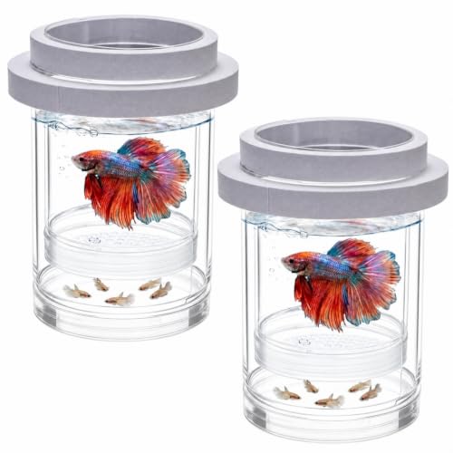 2 Pieces Breeder Box for Fish Tank, Floating Plastic | Aquarium Isolation Box, Mesh Fish Nursery Separator Tank Hatchery Incubator for Shrimp, Betta, Clownfish, Guppy, 2-Piece Set