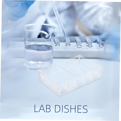 Transparent Acrylic Hatching Box with Lid Laboratory Specimen Container for Breeding and Observation for Reptiles and Scientific Use