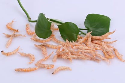 Premium Freeze-Dried Krill & Shrimp Mix Ideal for Arowana, Koi, Tropical Cichlids, and Turtles High Protein Floating Aquarium Food (1000ml)