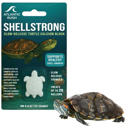 Shellstrong Premium Calcium Block for Aquatic Turtle - Slow Release Water Tank Conditioner - Cuttlebone for Aquarium - Turtle Tank Accessories - 20 Gallon Aquatic Treatment (1 Calcium Block) - size: 1 Calcium Block