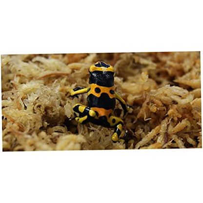 Sphagnum Moss Dried Spagnum Dry Moss for Reptiles Bedding and Terrarium Pet Supplies 150g, Dried, Sphagnum