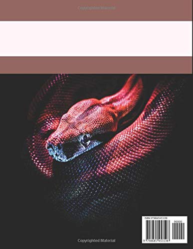 Reptile Daily Care Journal: Complete Reptile Care Pet Log Book To Track Daily & Weekly Activities. Funny Gift For Snake Lovers Women Men Kids Snake ... Track Feeding Shedding Health Bath & Others