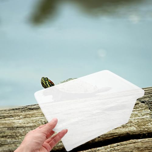 minkissy PVC Reptile Feeding Box for Small Pets and Reptiles with High Surface Hardness and Easy to Observe Container Suitable for Small Animals Showing and Incubation