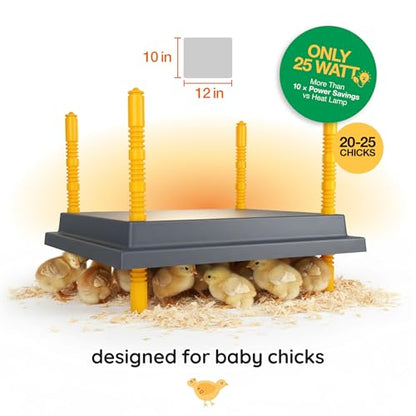 Hatching Time Warmzy 10"x12" Chick Heating Plate – Safe 20W Chicken Coop Heater for 20–25 Chicks with Adjustable Legs | Gentle Low-Heat Brooder Plate for Chicks, Durable Fire-Resistant Chicken Heater - size: 10'" x 12" for 20-25 Chicks
