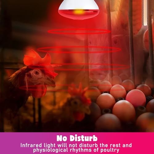 LUCKY HERP Infrared Heat Lamp for Chickens, 250 Watt Red Heat Lamp Bulb, 2 Pack Heat Light Bulb, Brooder Heat Lamp for Chicks Coop, Reptiles, Amphibian, Pet, Food Service