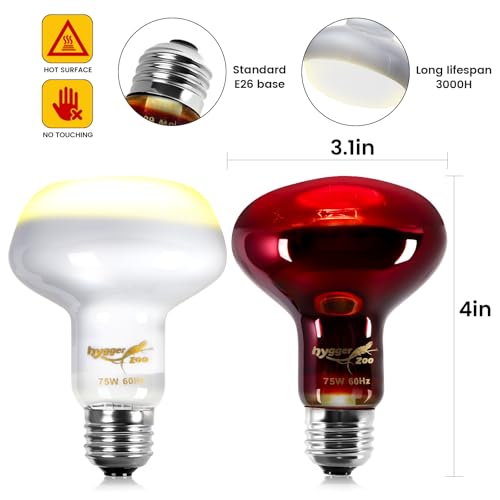 100W Reptile Heat Lamp Bulbs 2-Pack — UVA Daylight & Infrared Night Combo, Efficient Basking Light for Bearded Dragon, Lizard, Turtle, Chicken, E26 Base - color: Multi-colored, size: 100W
