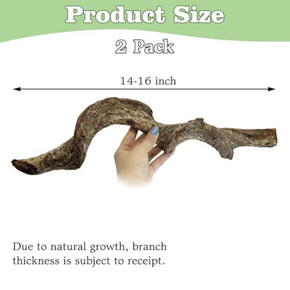 Reptile Climbing Decor 2 Pack Thick Wood Branches Snake Habitat Decorations Terrarium Wooden Tree Trunk Ornament for Bearded Dragon Lizard Snake Geckos Chameleon Frog - size: 14-16 inches