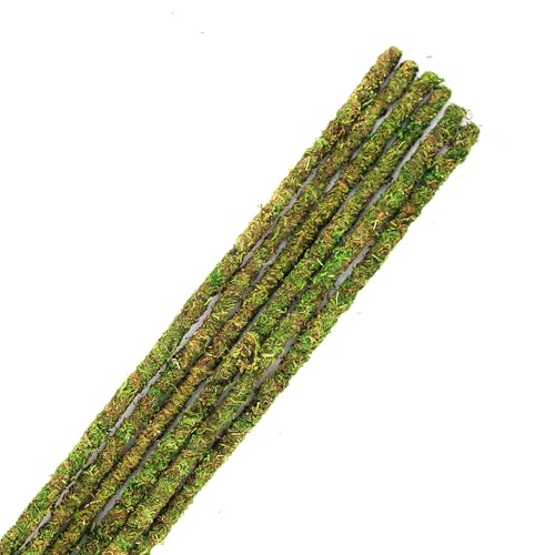 Galápagos (05320) Mossy Terrarium Sticks 18" (Pack of 6) - size: 18"