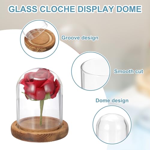 uxcell Glass Cloche Display Dome, 3.9" x 3.1" Glass Dome Display Case, Wood - size: 3.9" x 3.1"