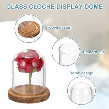 uxcell Glass Cloche Display Dome, 3.9" x 3.1" Glass Dome Display Case, Wood - size: 3.9" x 3.1"