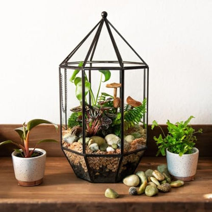 SuperMoss (90405) Glass Terrarium – Elegant Indoor Gardening Décor, Ideal Gifts for Plant Lovers, Modern Home & Office Decoration, 7.5” x 7.5” x 14”, Greenhouse