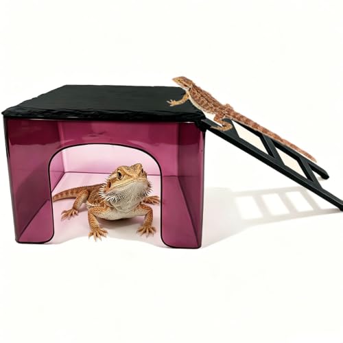 2-in-1 Visible Bearded Dragon Basking Platform with Hideout，Leopard Gecko Basking Platform with Slate Stone，Reptile Habitat Accessories for Lizard, Gecko, Snake (Dark Purplish red) - color: Dark purplish red