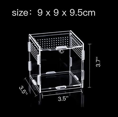AWXZOM Magnetic Acrylic Case, micro habitat small Tarantula Enclosure enclosure for arboreal Tarantula Scorpion Sling Lizards Mantis Snake Gecko jumping spider snail Insect Isopods (3.5*3.5*3.7inch) - size: 3.5*3.5*3.7inch