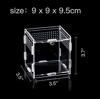 AWXZOM Magnetic Acrylic Case, micro habitat small Tarantula Enclosure enclosure for arboreal Tarantula Scorpion Sling Lizards Mantis Snake Gecko jumping spider snail Insect Isopods (3.5*3.5*3.7inch) - size: 3.5*3.5*3.7inch