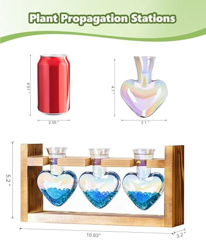 Plant Terrarium with Wooden Stand, 3 Heart Bulb Glass Vases | Wooden Stand Tabletop for Air Planter, Gifts for Mom Plant Lovers Mom Women Wife Grandma - color: Iridescent Clear