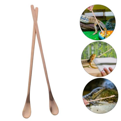 2pcs Stainless Steel Reptile Food Spoon Portable Small Animal Feeding Scoop for Lizards Geckos and Other Pets and Easy to Use Feeding Tool - color: Golden