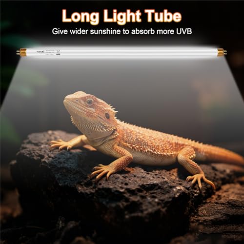 UVB Light for Reptiles Bearded Dragon, 2 Pack T5 UVB Reptile Light UVB Bulb 10.0 24W UVA UVB Reptile Light Bulb Terrarium Light Lamp Tube for Turtle Chameleon Leopard Gecko Snake Tank, 22 Inch - size: T5-22 Inch(2 Pack)