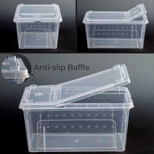 Tlence 2 Pack Critter Keeper, 12.6"x8.7"x6" Clear Plastic Enclosure Terrarium, Portable Transport Container with Feeding Bowl, Small Hatching Container with Ventilated Lid for Snake, Lizard, Gecko