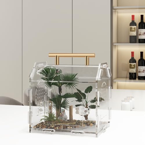 Acrylic Jumping Spider Enclosure with Magnetic Lock | 3mm clear acrylic magnetic front door & feeding port for escape-proof care