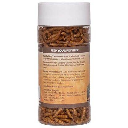 Healthy Herp Insectivore Reptile Treat Mealworms - 0.95 oz (27g) | All Natural, Nutritious Turtle Food, Bearded Dragon Tank Accessories - for Bearded Dragons, Box Turtles, Aquatic Turtles