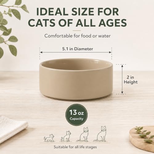 Havniva Cat Bowls Set of Two, 5.1” Ceramic Cat Food and Water Bowls | Cat Food Bowls Whisker Friendly, Non-Slip Base, Food-Grade Ceramic, Wide Opening, Dishwasher Safe, Cat Bowls for Indoor Cats - color: Greige, size: 2 Bowls - 5.1"